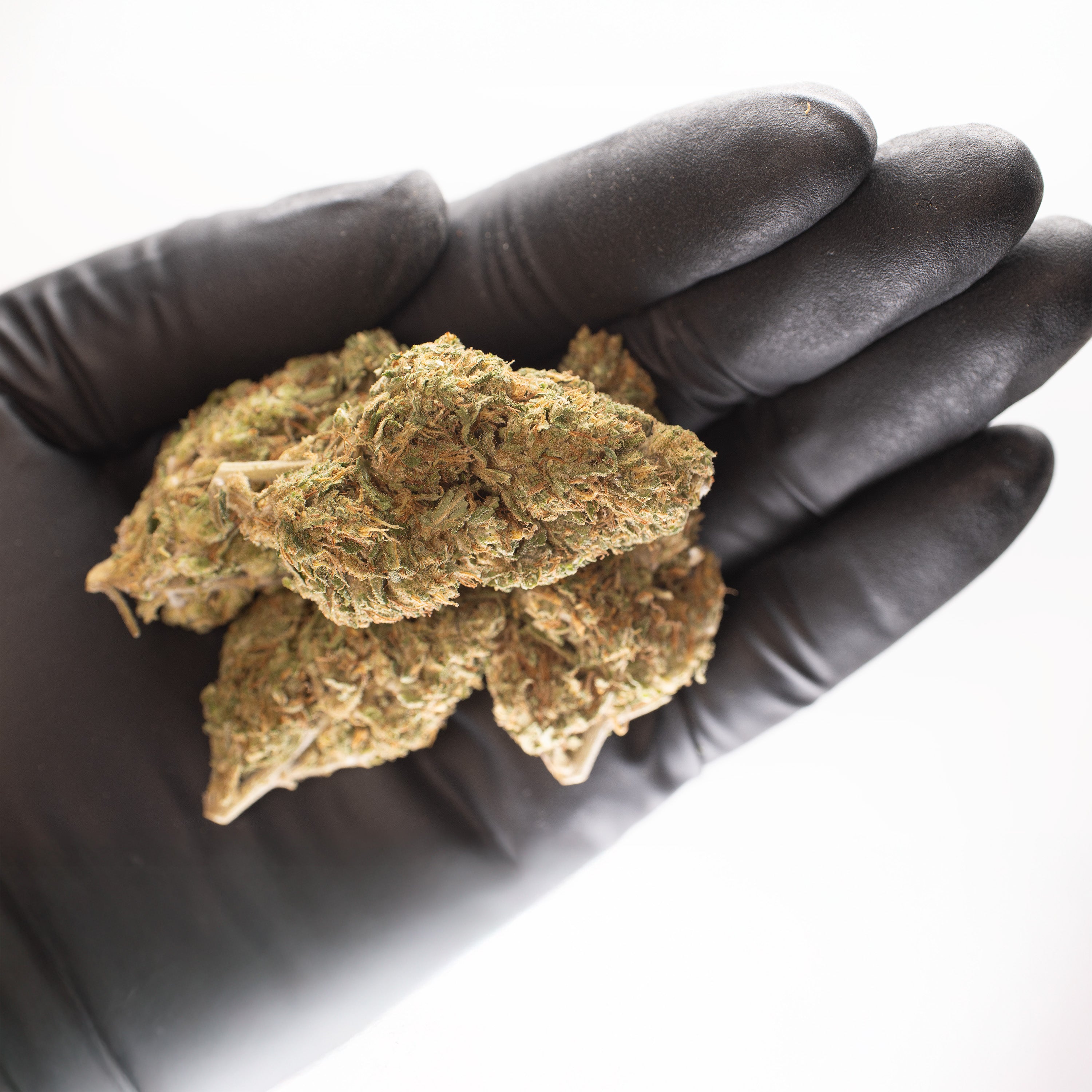 NEW! Blueve Hemp Flower