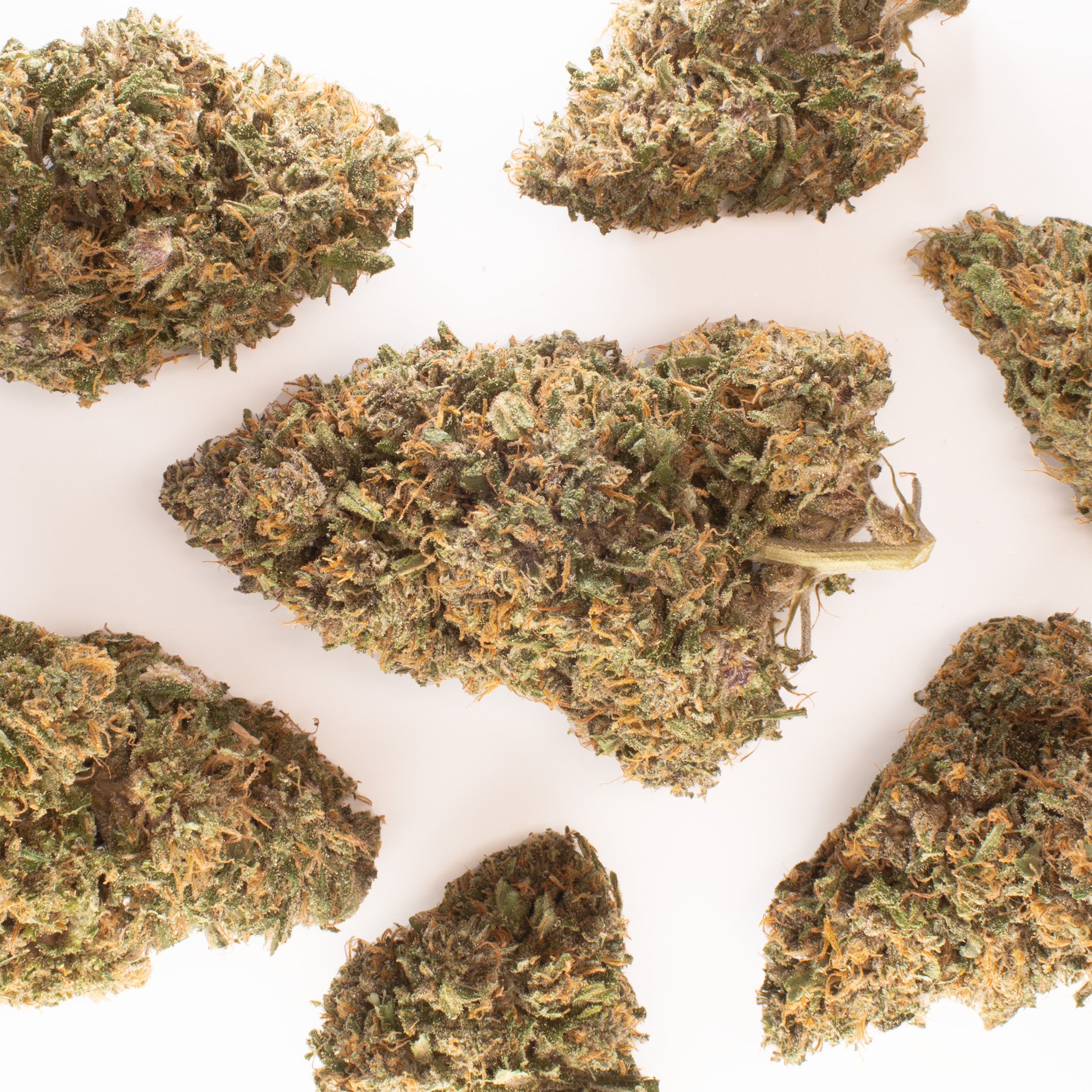 NEW! Blue Laguna Hemp Flower