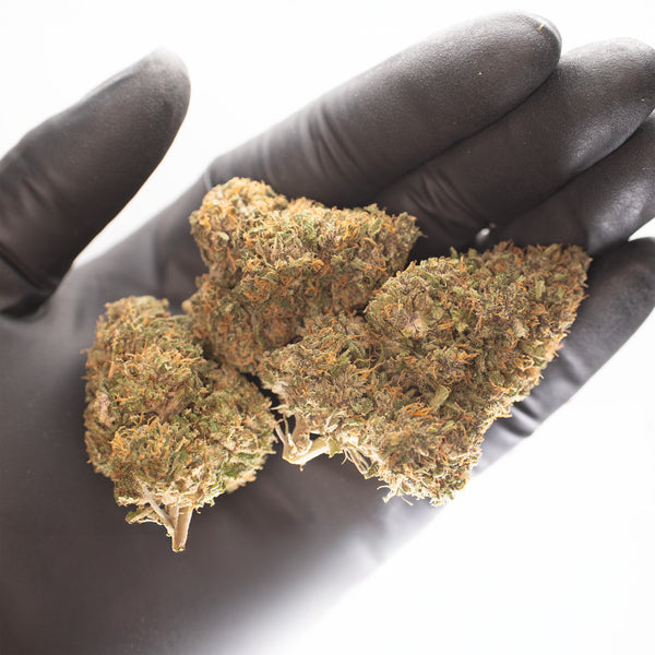 NEW! Blue Laguna Hemp Flower