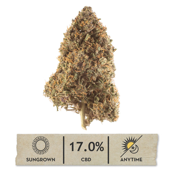 NEW! Blue Laguna Hemp Flower