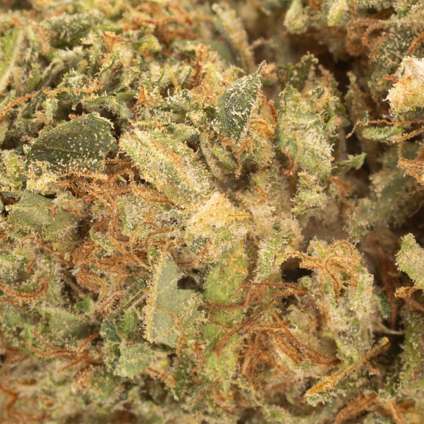 NEW! Cake Berry Brûlée Hemp Flower