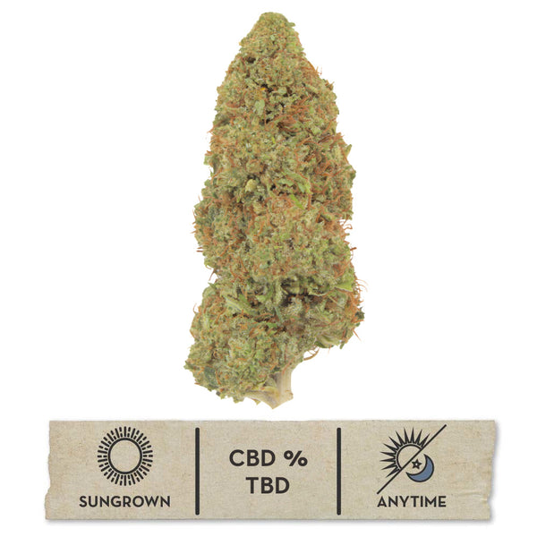 NEW! Berry Bliss Hemp Flower