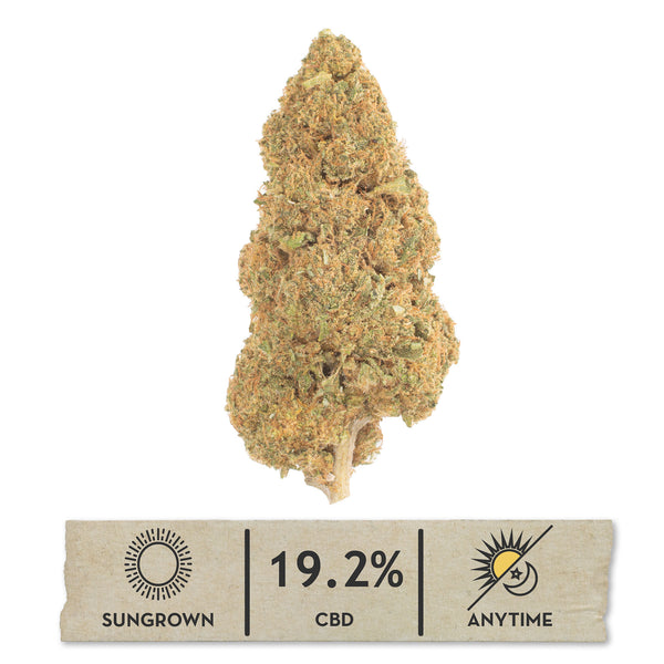 NEW! Lifter Hemp Flower