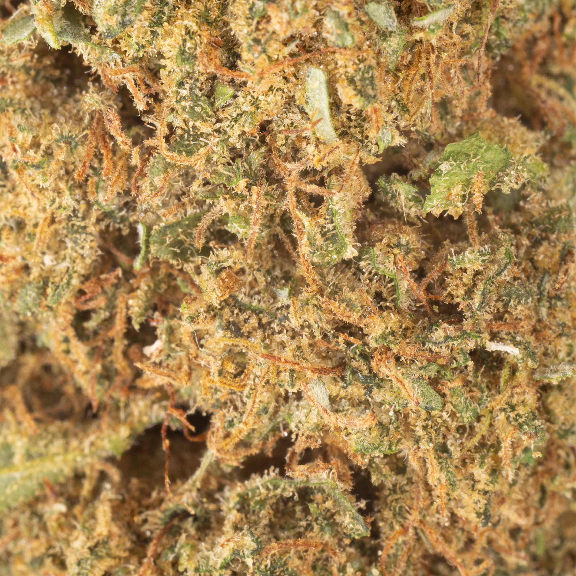 NEW! Lifter Hemp Flower