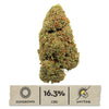 2024 Lifter Hemp Flower