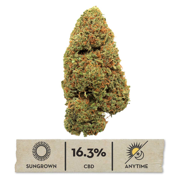 2024 Lifter Hemp Flower