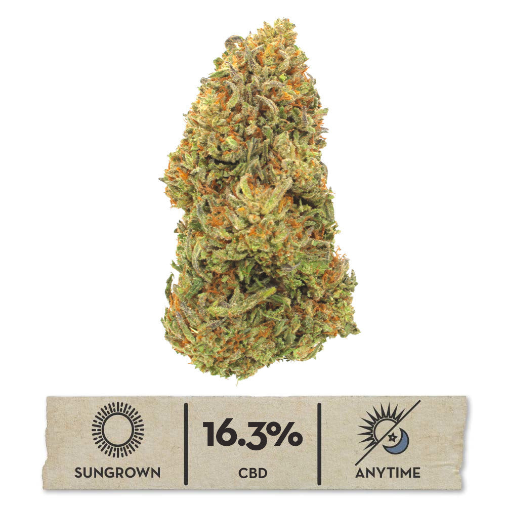 2024 Paradise OG Hemp Flower