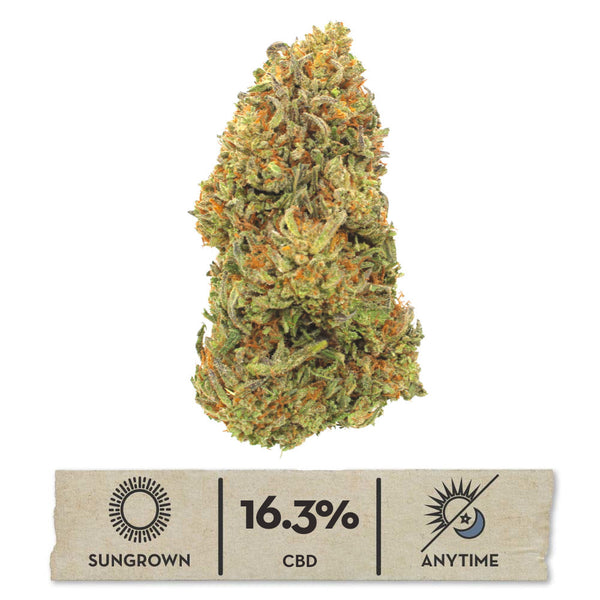 2024 Paradise OG Hemp Flower