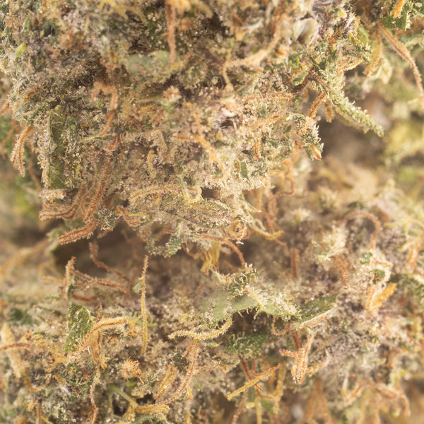 NEW! Sapphire Kush Hemp Flower