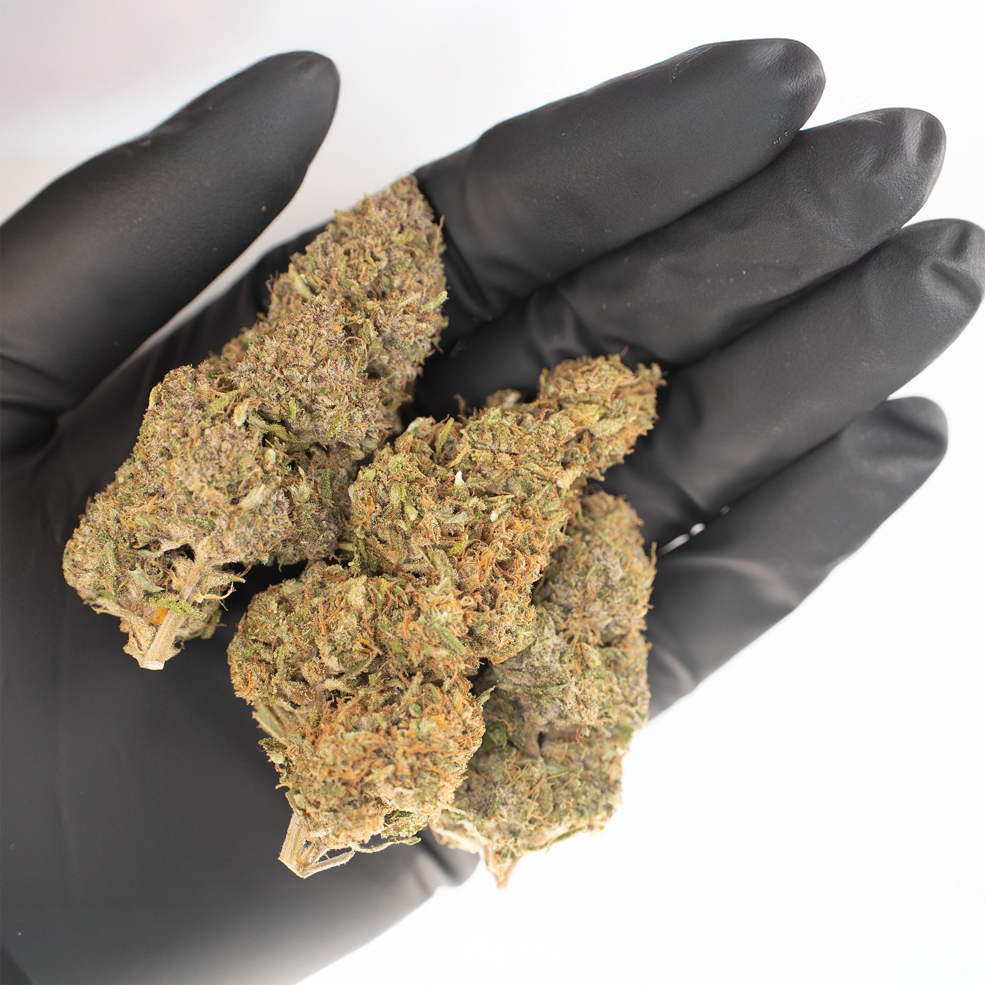 NEW! Sapphire Kush Hemp Flower