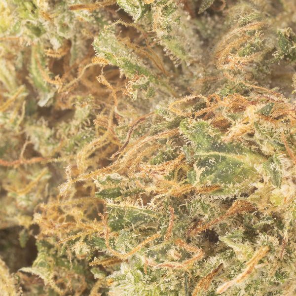 NEW! Sour Chem Hemp Flower