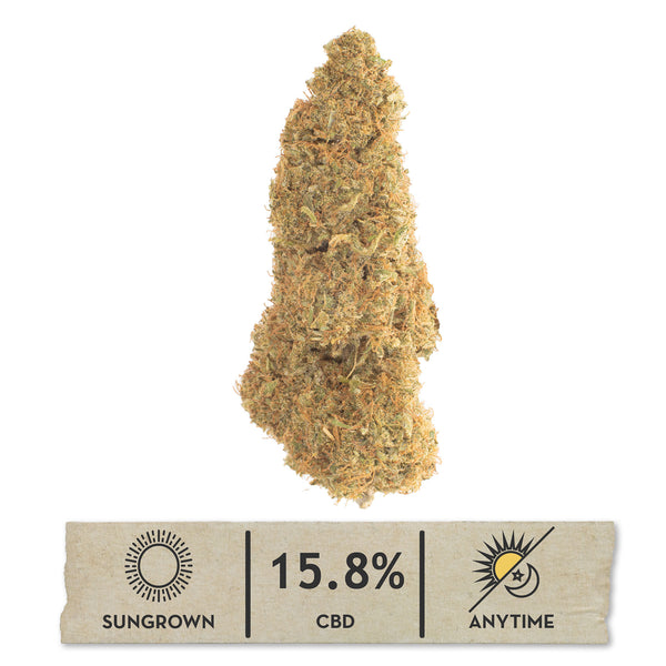 NEW! Sour Lifter Hemp Flower