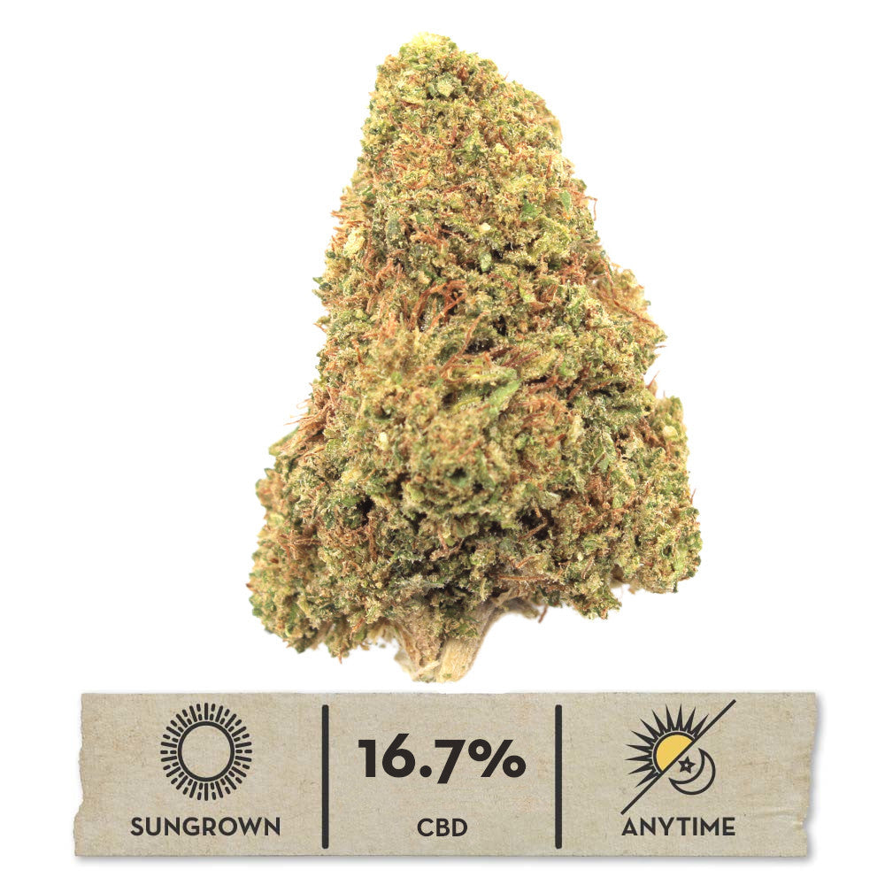 2024 Sour Special Sauce Hemp Flower