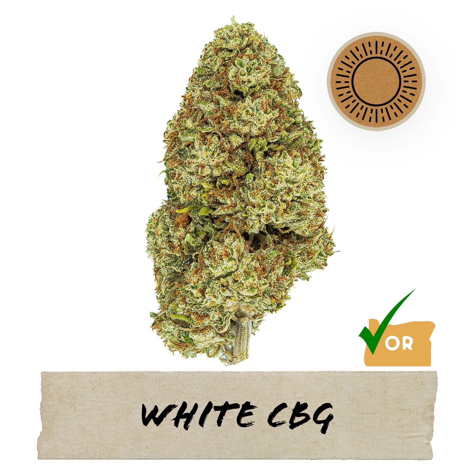 2024 White CBG Hemp Flower