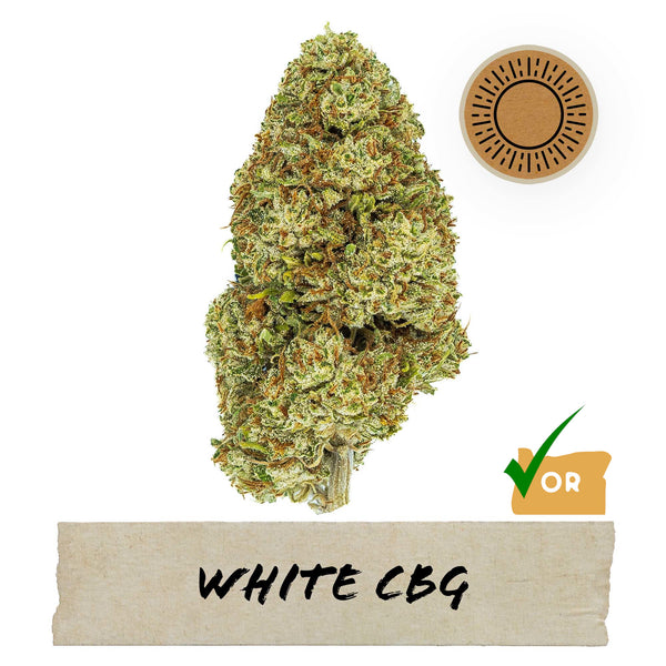 2024 White CBG Hemp Flower