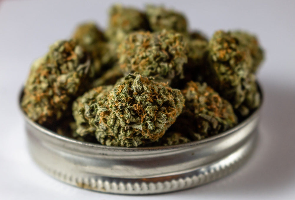 A jar lid holding strains of sativa hemp flower
