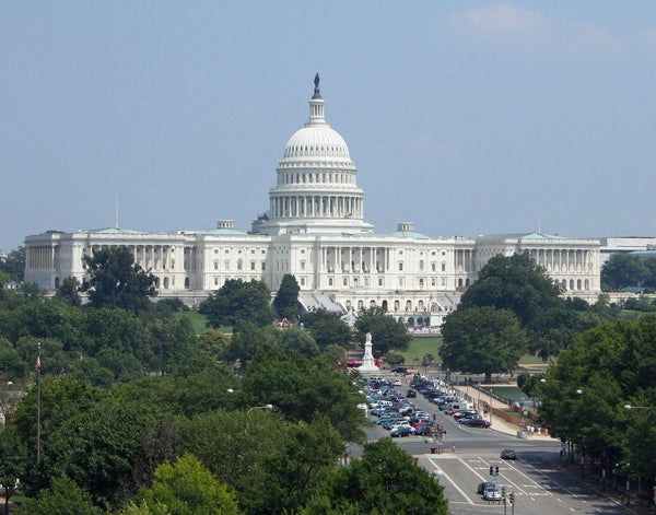 The capitol building in Washington, DC