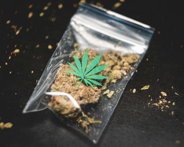 Ground cannabis inside clear plastic bag