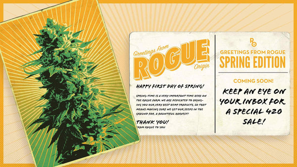 WELCOME TO SPRING // Greetings from Rogue Origin