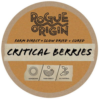 Critical Berries - Rogue Origin CBD Hemp Cultivar Logo