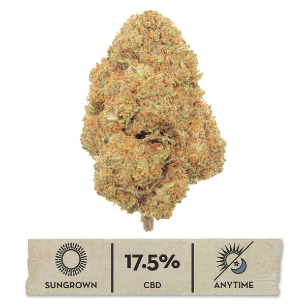 NEW! Lemon Octane Hemp Flower