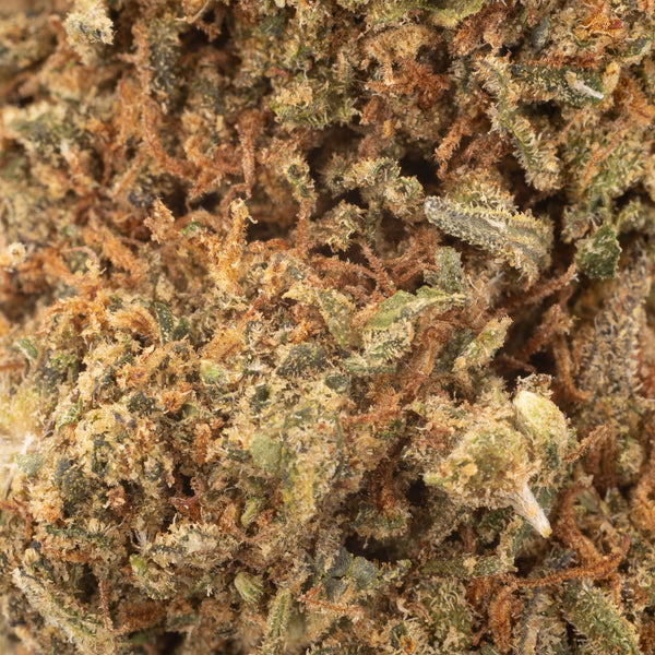 NEW! Allium OG Hemp Flower