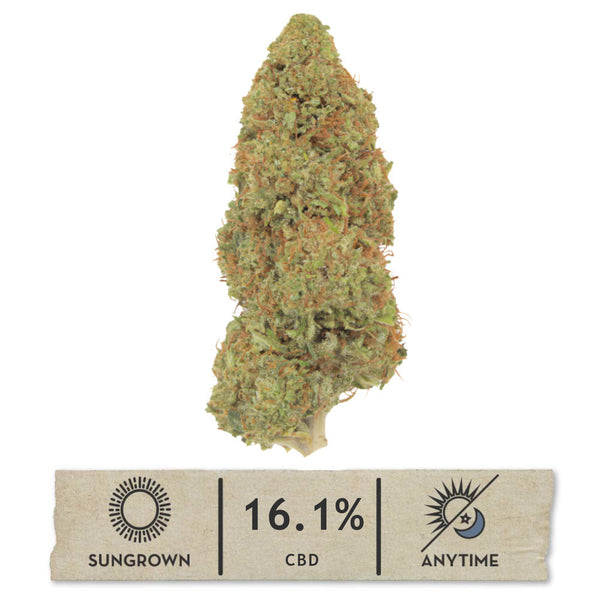 NEW! Berry Bliss Hemp Flower