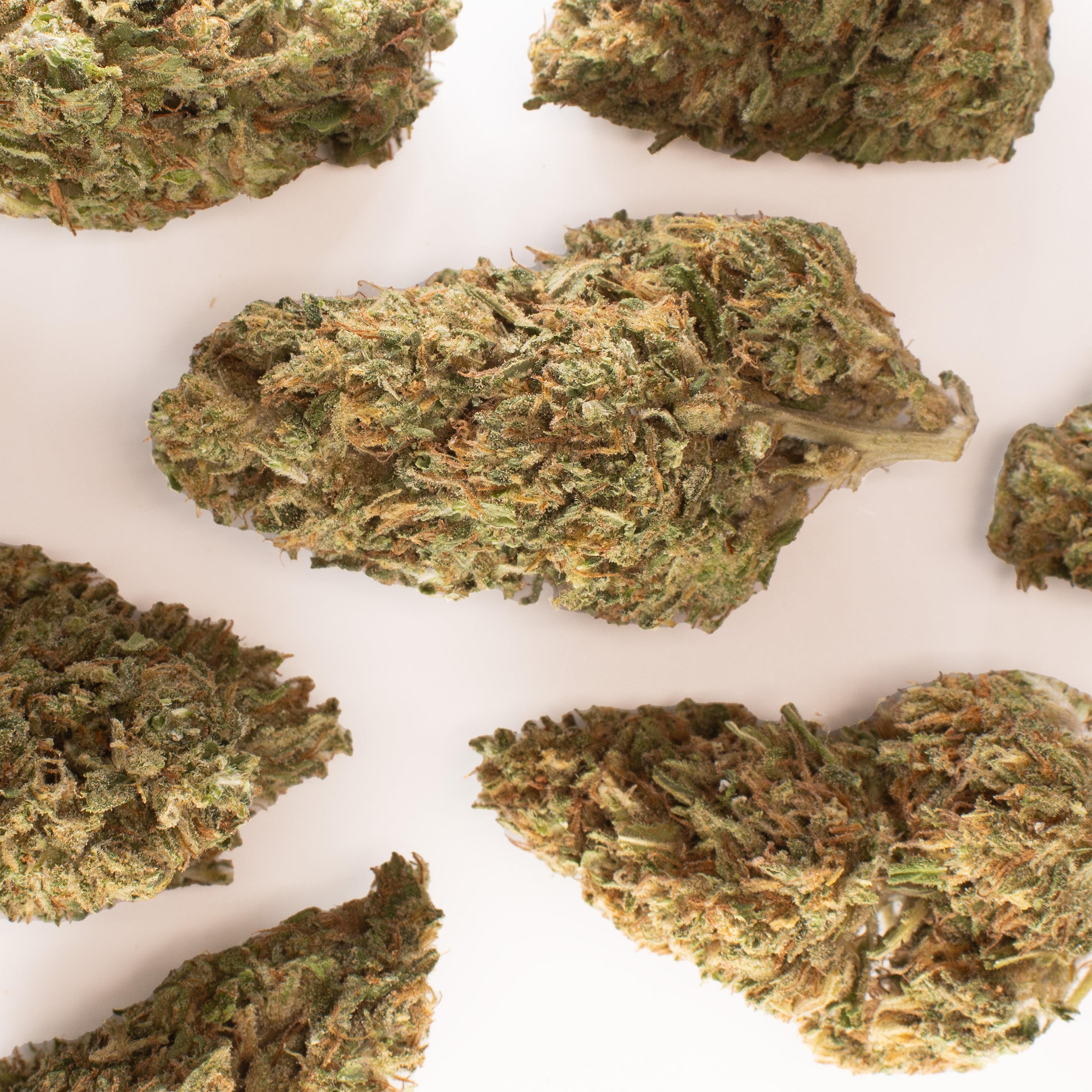 NEW! Blueve Hemp Flower