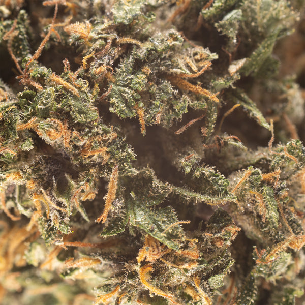 NEW! Blue Laguna Hemp Flower