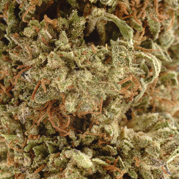 delta 10 thc vape bubba kush for sale Bubba Weed | Hand-Trimmed, Farm-Direct