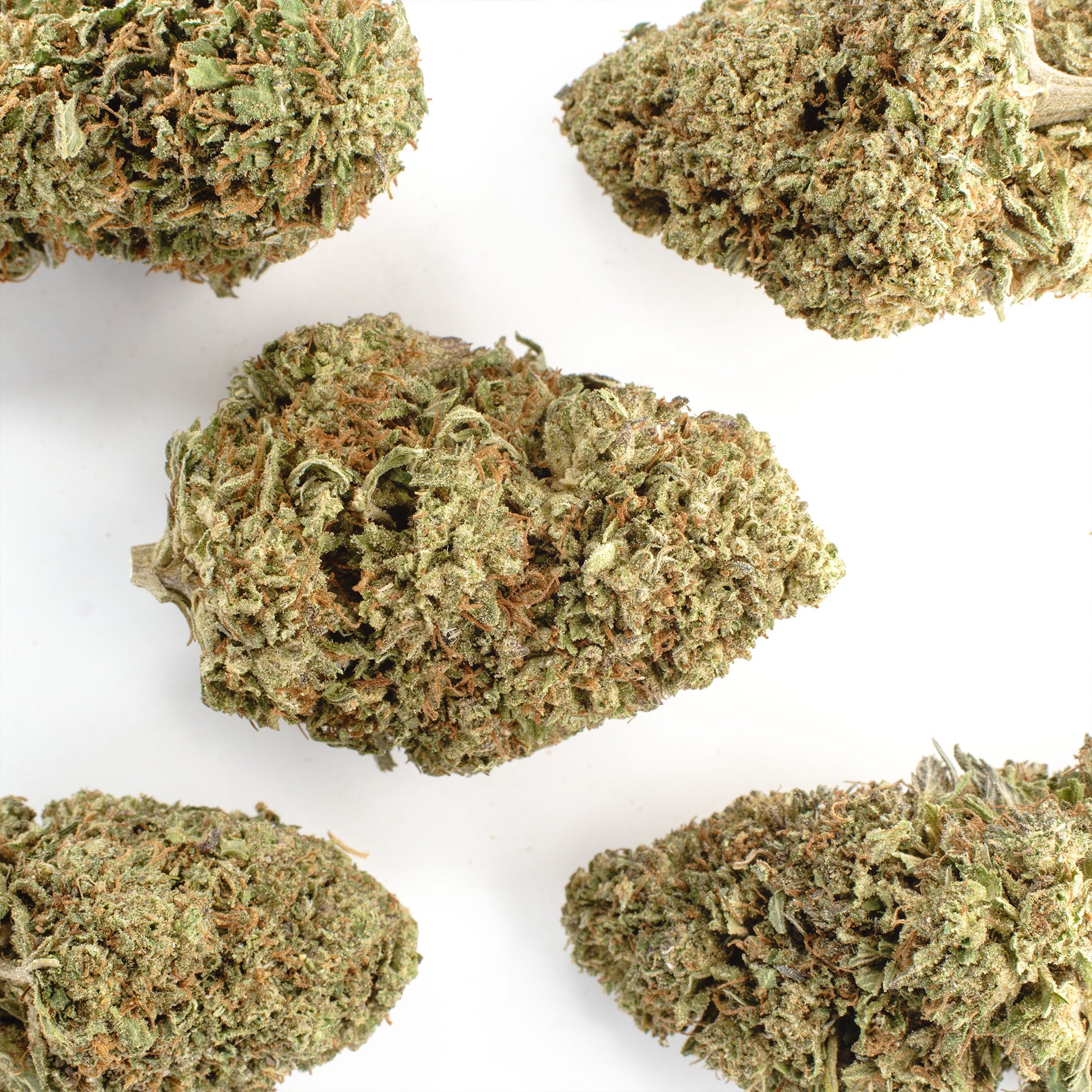 Bubba Kush Hemp Flower