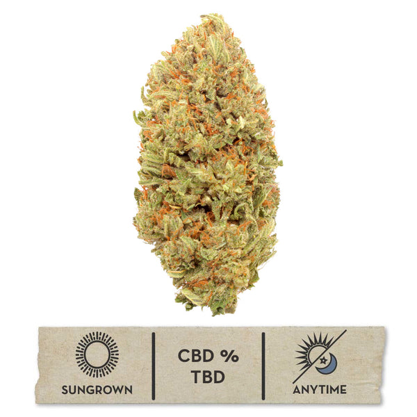 NEW! Bubba Kush 66 Hemp Flower