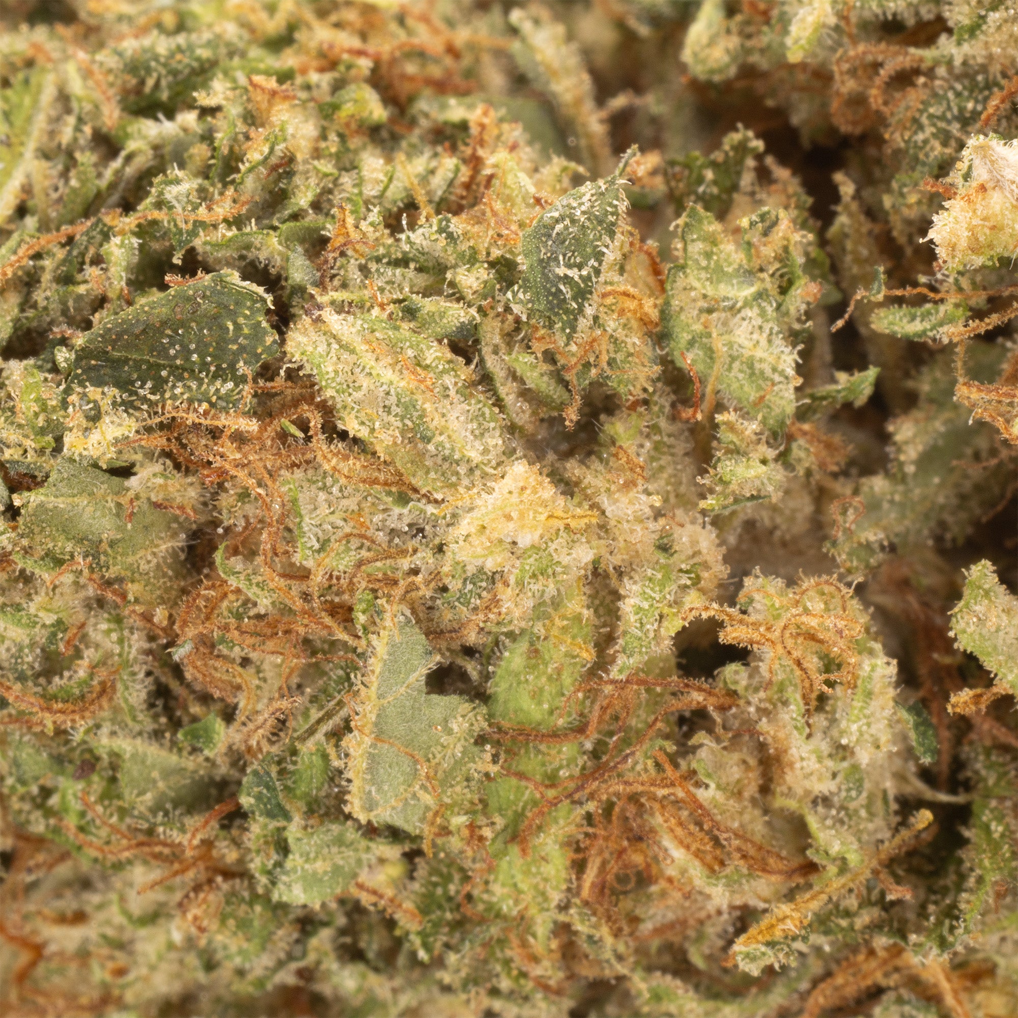 NEW! Cake Berry Brûlée Hemp Flower