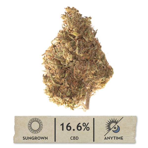 NEW! Catnip Hemp Flower