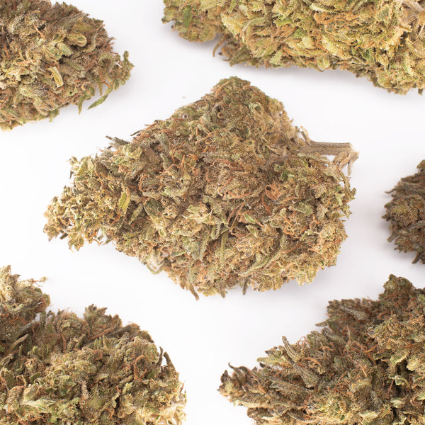 NEW! Catnip Hemp Flower