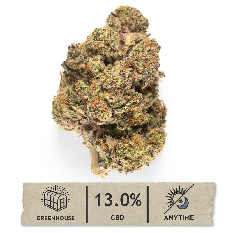 Clouded Doughnuts greenhouse hemp flower, one bud on white, olive green shot through with purple, with a 13.0% CBD anytime label.