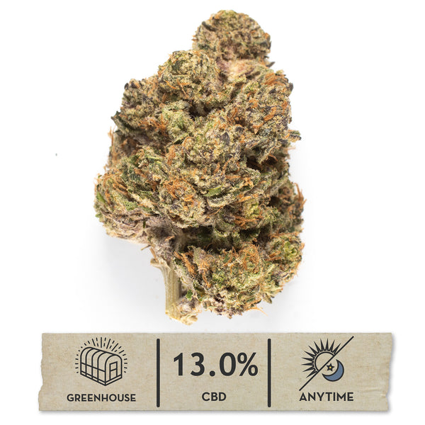Clouded Doughnuts greenhouse hemp flower, one bud on white, olive green shot through with purple, with a 13.0% CBD anytime label.
