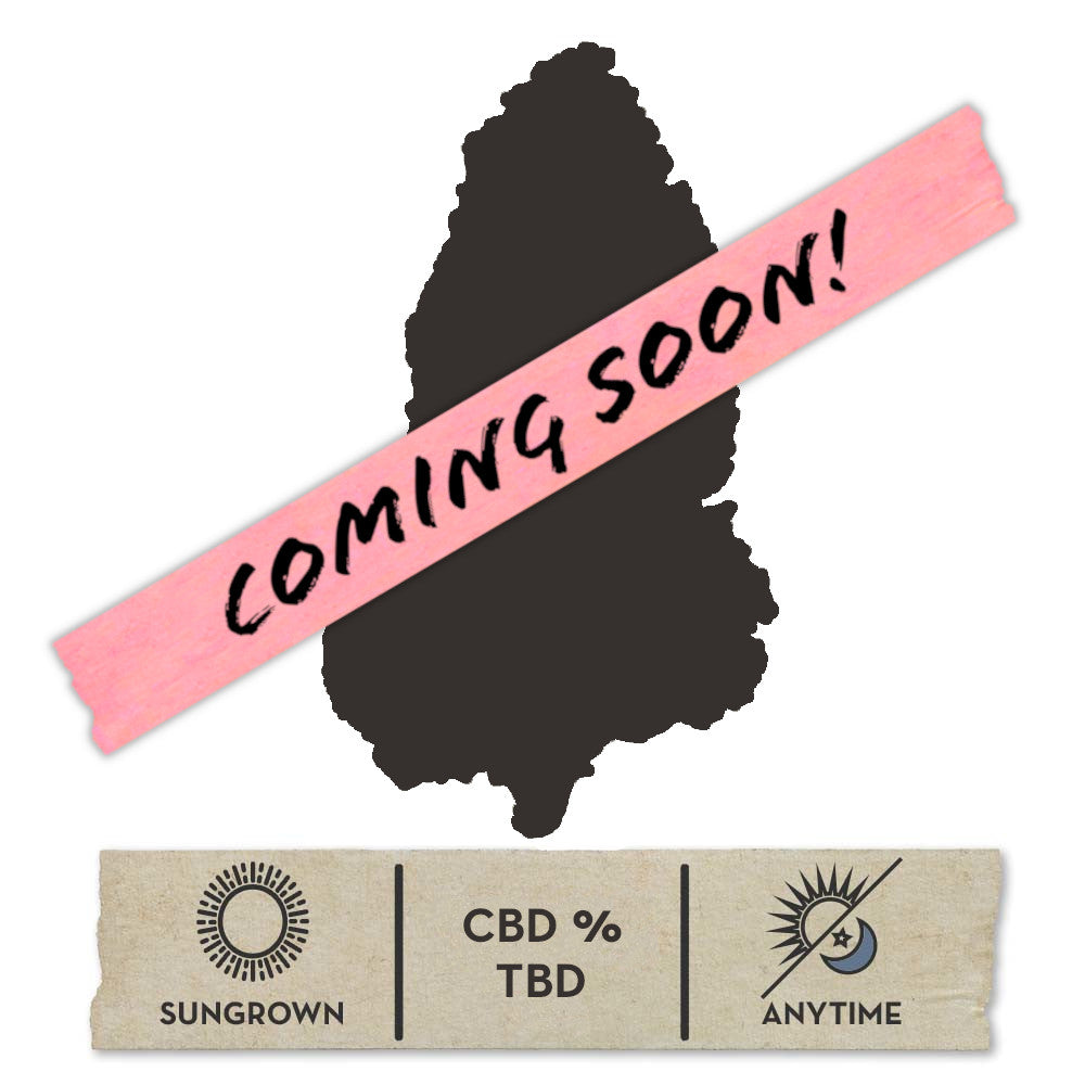 NEW! Critical Berries Hemp Flower