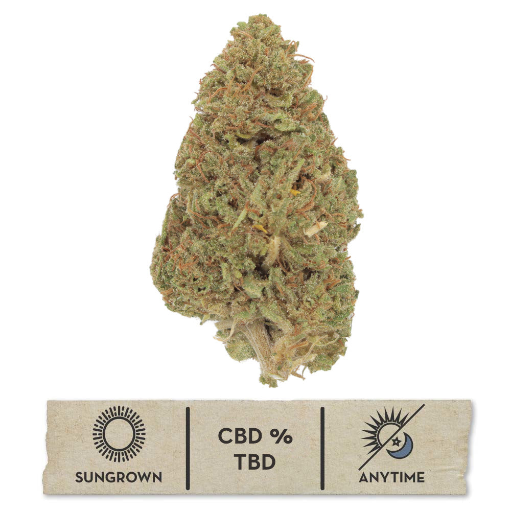 NEW! Purple Frosty Hemp Flower