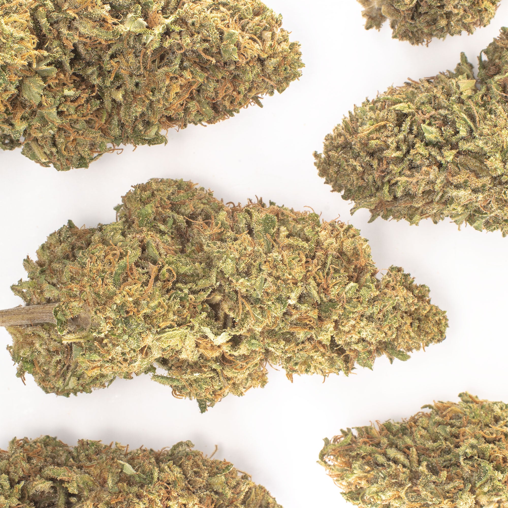 NEW! Critical Berries Hemp Flower