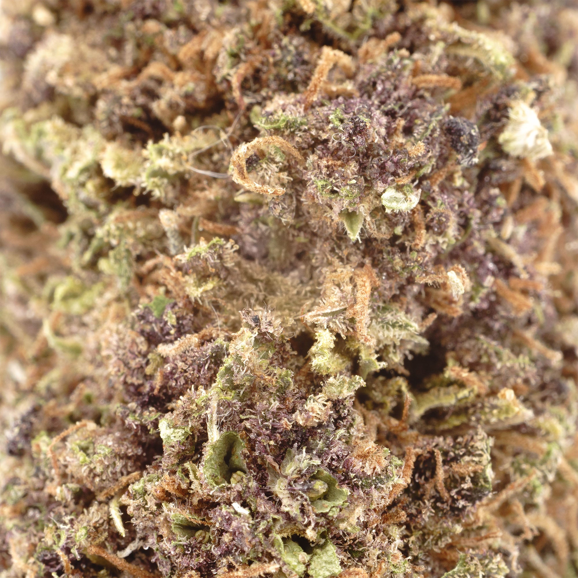 Demi Glaze Hemp Flower