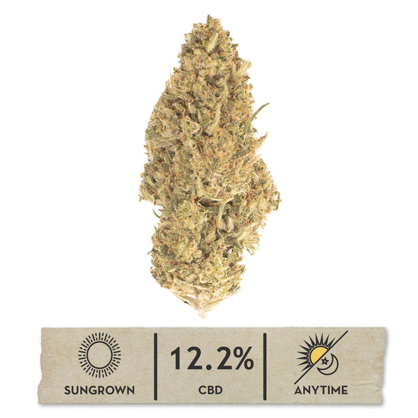 NEW! Elektra Hemp Flower