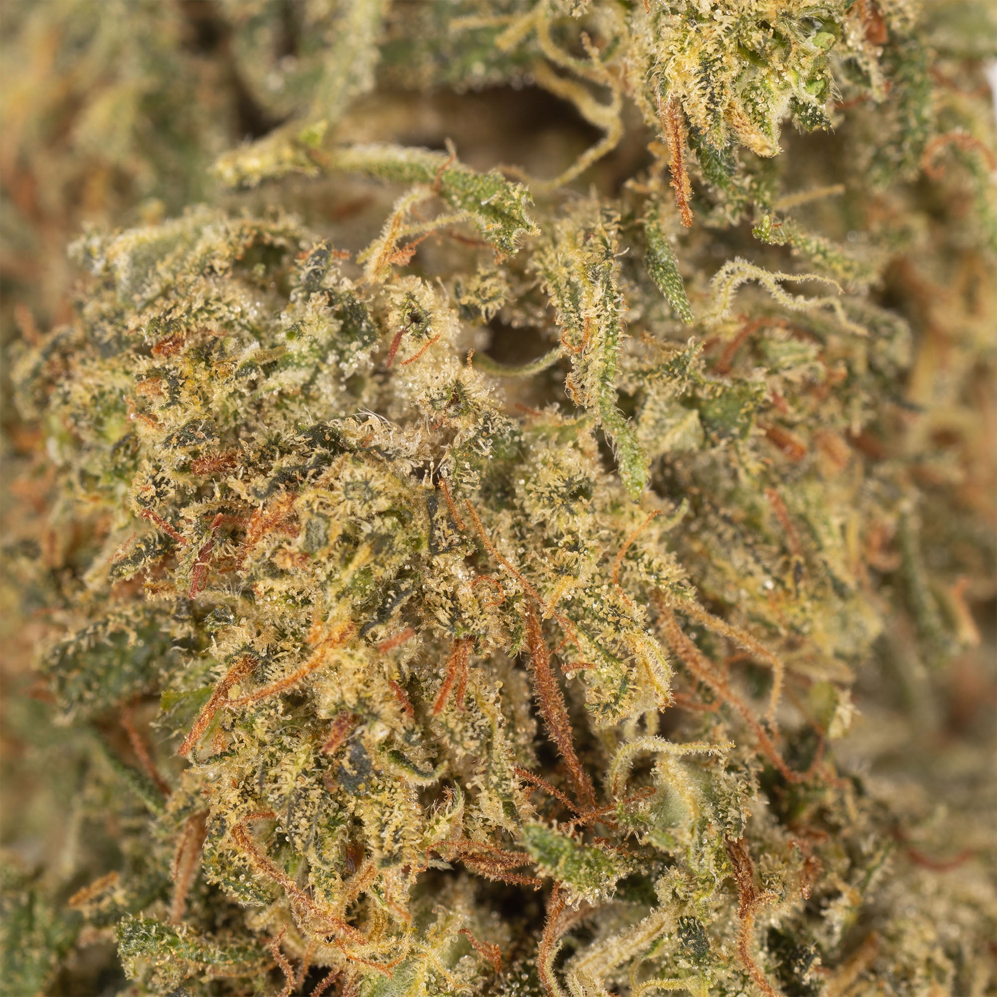 NEW! Elektra Hemp Flower