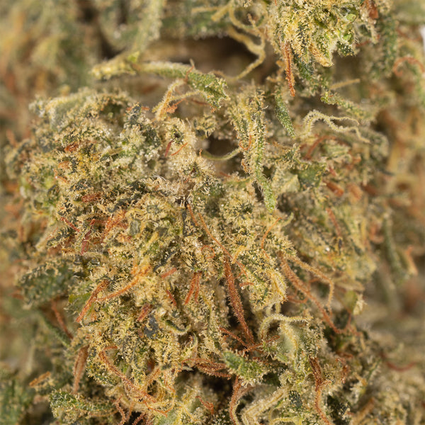 NEW! Elektra Hemp Flower