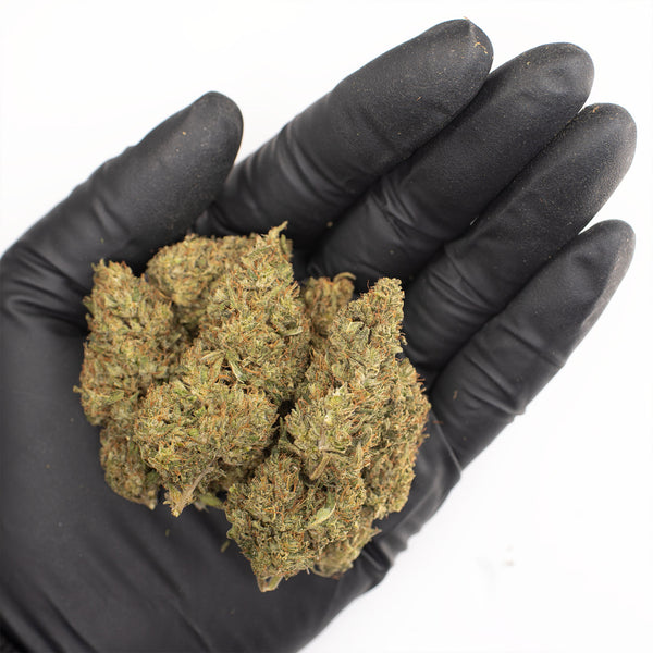 NEW! Elektra Hemp Flower