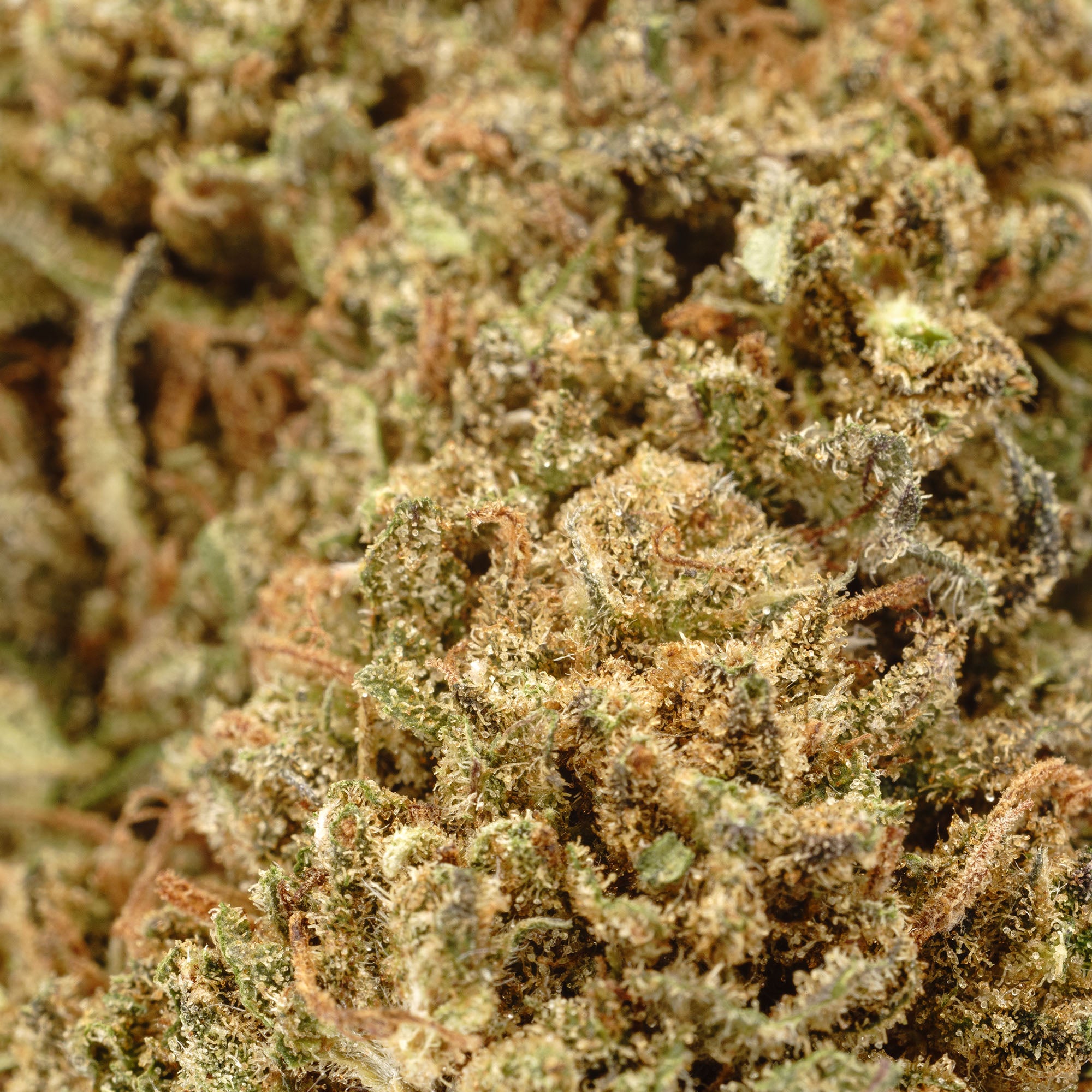 Fyre OG Hemp Flower