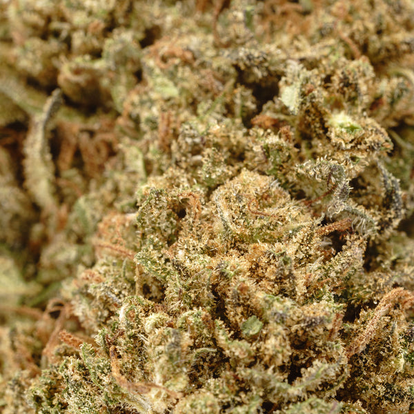 Fyre OG Hemp Flower