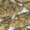 NEW! Lemon Cookie Dough Hemp Flower