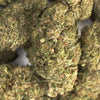 NEW! Pineapple Sugar Cookies Hemp Flower
