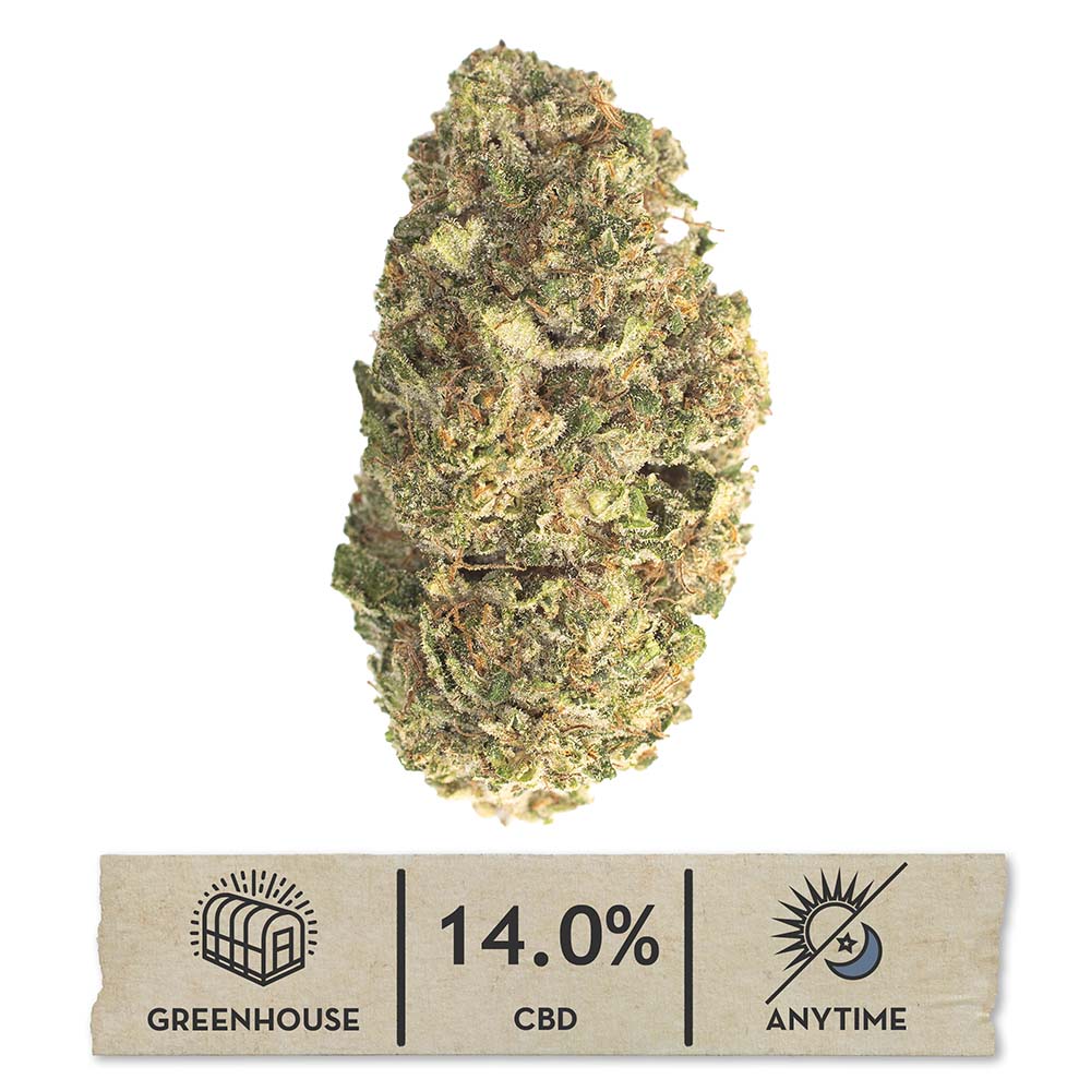 NEW! Pineapple Sugar Cookies Hemp Flower
